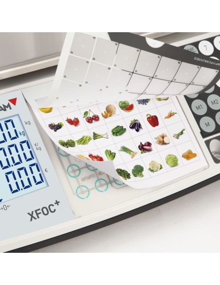 BALANCE GRAM XFOC+ COLONNE MAX 30 KG