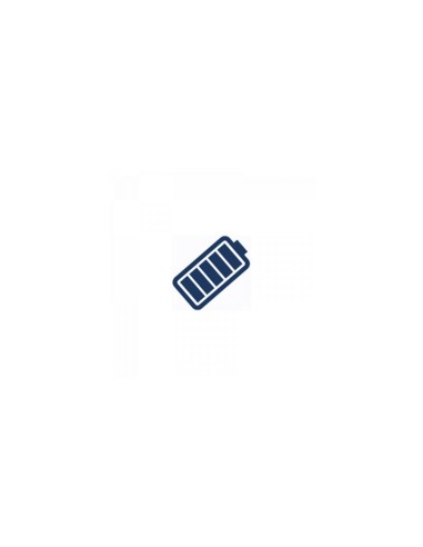 Batterie ABDPRO pour balance APS